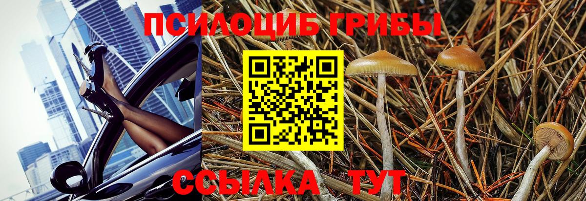 Псилоцибиновые грибы ЛСД Кушва