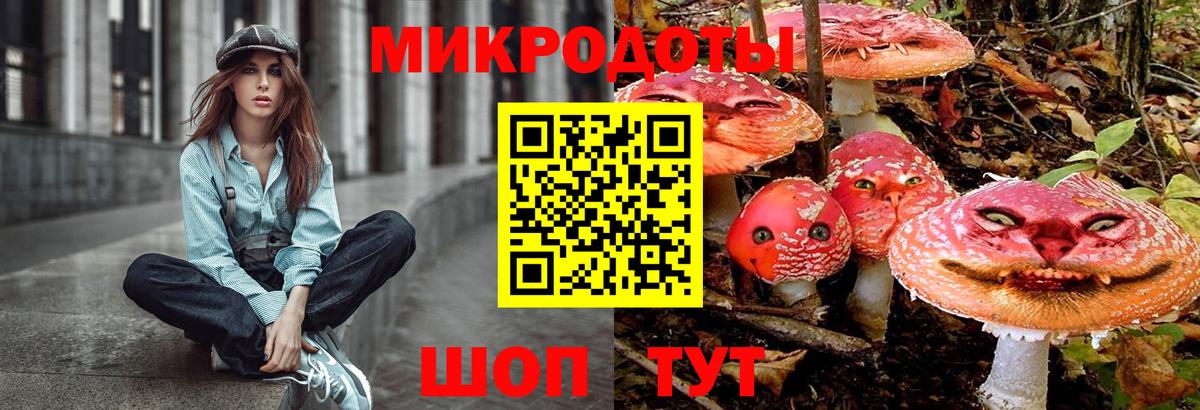 Галлюциногенные грибы GOLDEN TEACHER  Галлюциногенные грибы прущие грибы  Вход с VPN  Кушва 